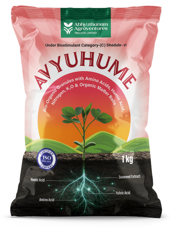 Avyuhume