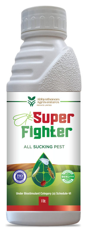 Super Fighter