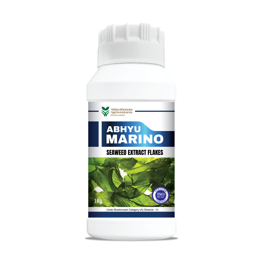ABHYU MARINO