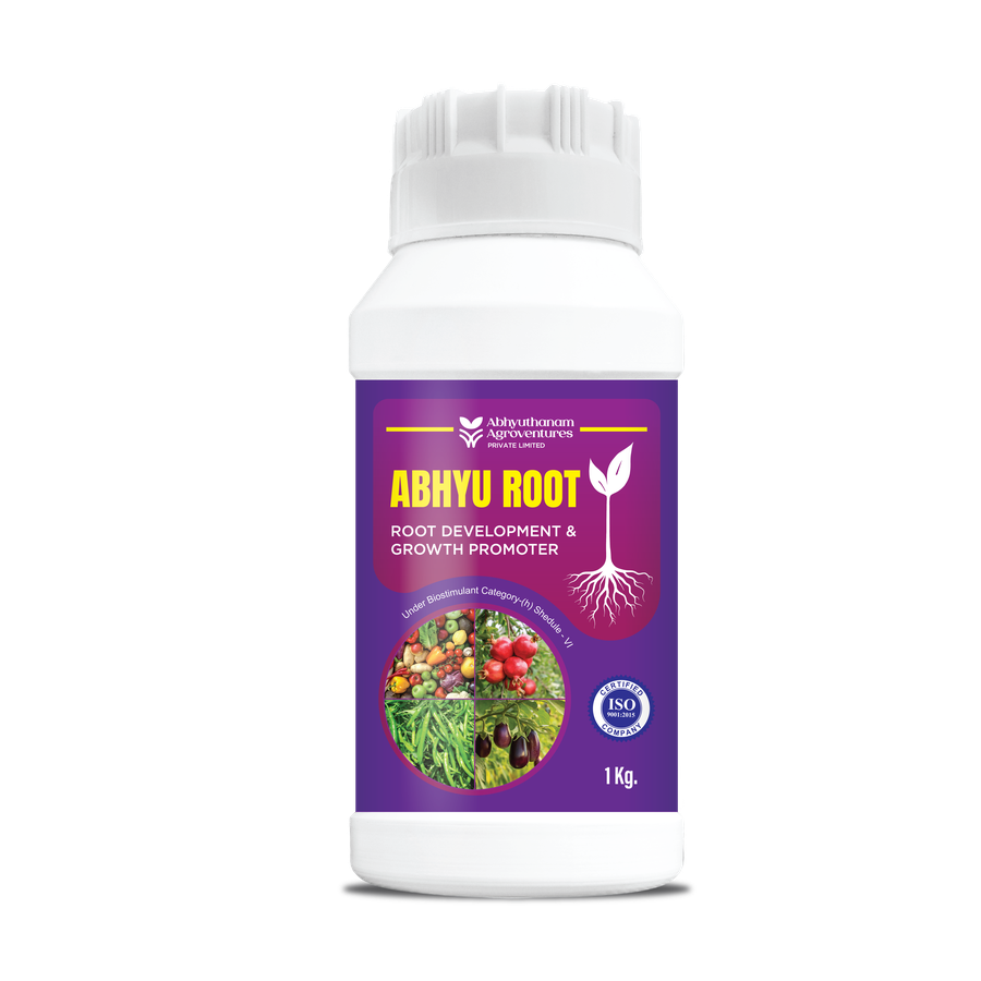 ABHYU ROOT