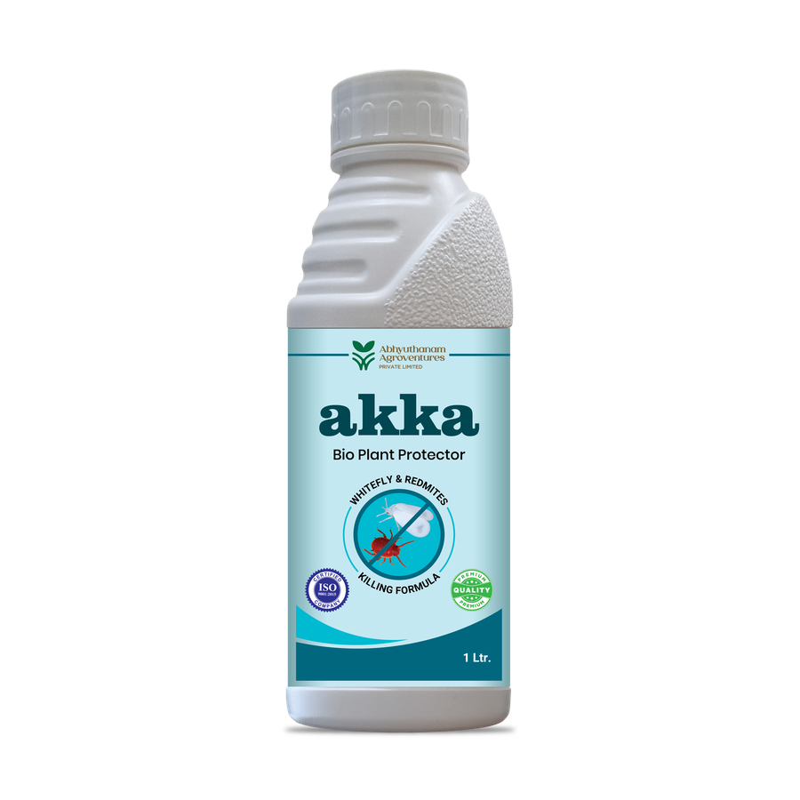 AKKA