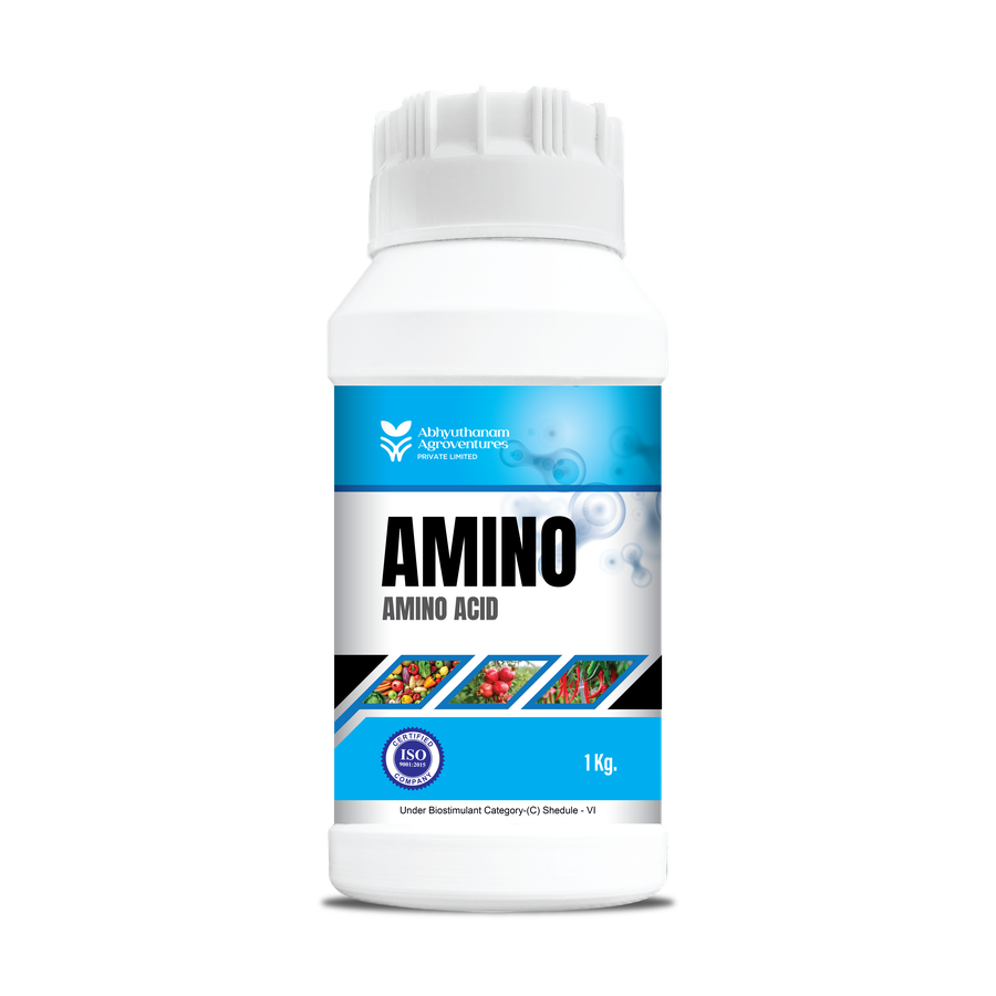 AMINO