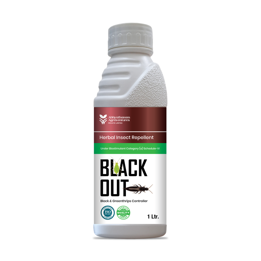 BLACK OUT