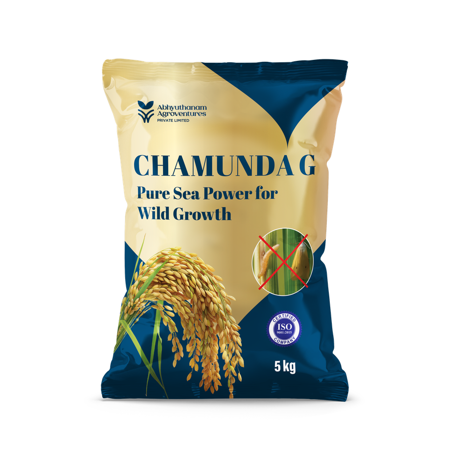 CHAMUNDA G