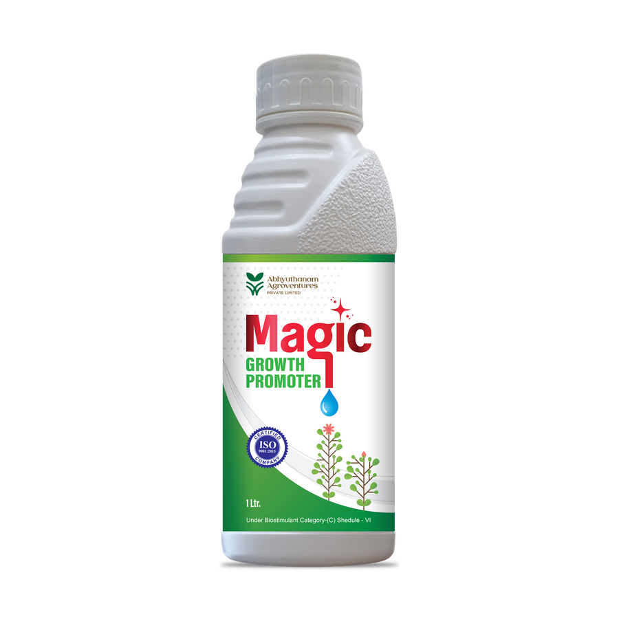 MAGTIC