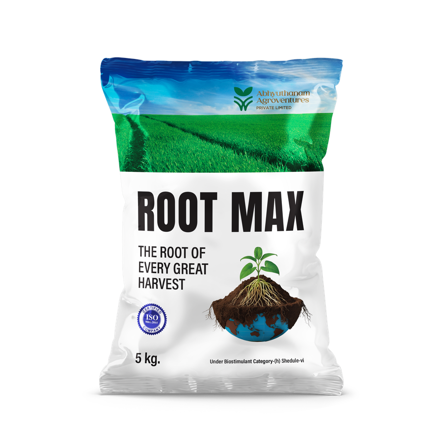 ROOT MAX