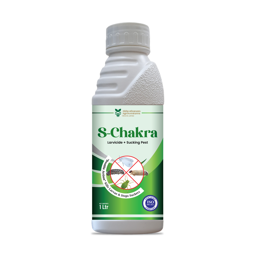 S-CHAKRA