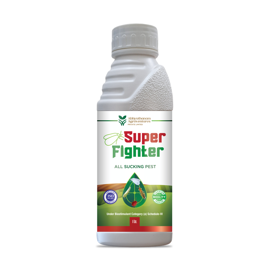 SUPER FIGHTER